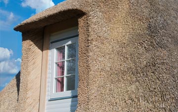 Torr thatch roof disadvantages